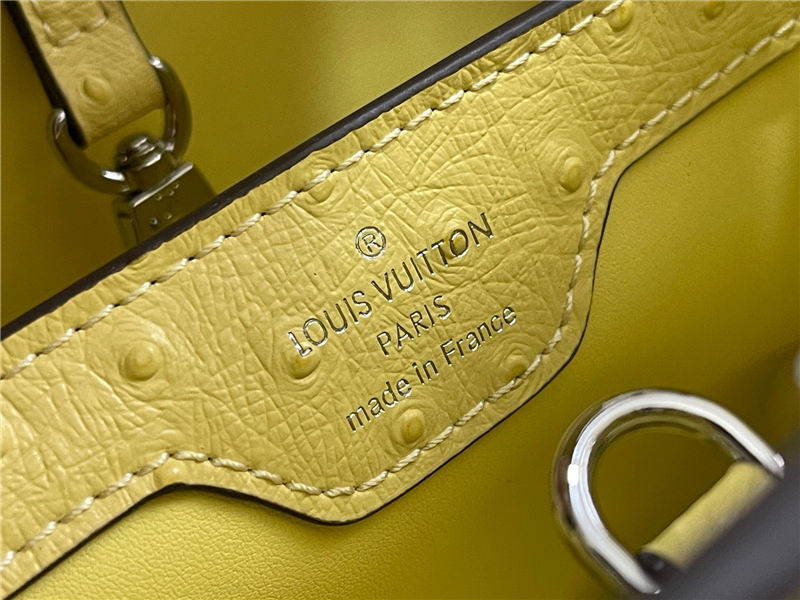 Louis Vuitton Capucines BB Ostrich leather M95393/M48865 Lemon High