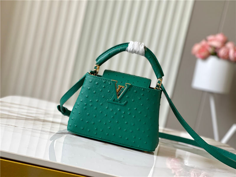 Louis Vuitton Capucines Mini Ostrich leather M95393/M48865 Green High