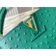 Louis Vuitton Capucines Mini Ostrich leather M95393/M48865 Green High