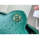 Louis Vuitton Capucines Mini Ostrich leather M95393/M48865 Green High