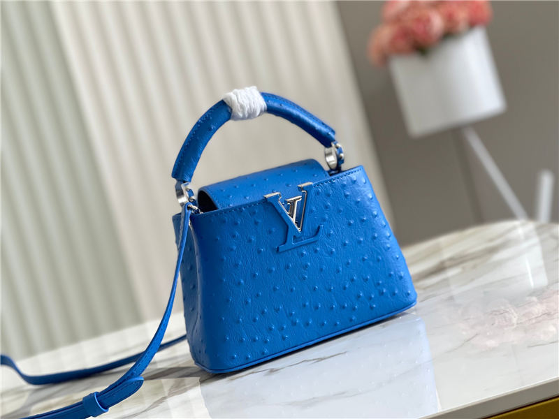 Louis Vuitton Capucines Mini Ostrich leather M95393/M48865 Blue High