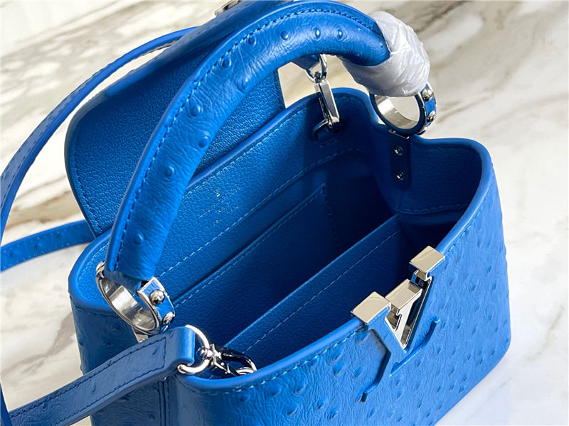 Louis Vuitton Capucines Mini Ostrich leather M95393/M48865 Blue High