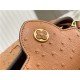 Louis Vuitton Capucines Mini Ostrich leather M95393/M48865 Brown High