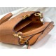 Louis Vuitton Capucines Mini Ostrich leather M95393/M48865 Brown High