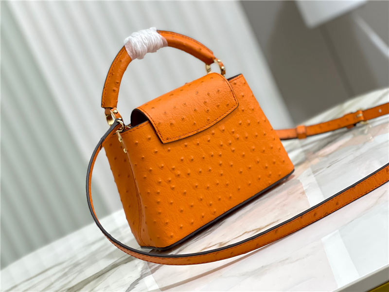 Louis Vuitton Capucines Mini Ostrich leather M95393/M48865 Orange High