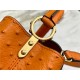 Louis Vuitton Capucines Mini Ostrich leather M95393/M48865 Orange High