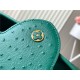 Louis Vuitton Capucines MM Ostrich leather M95393/M48865 Green High