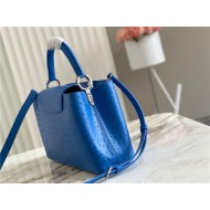 Louis Vuitton Capucines MM Ostrich leather M95393/M48865 Blue High