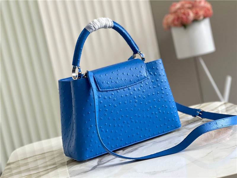 Louis Vuitton Capucines MM Ostrich leather M95393/M48865 Blue High