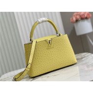 Louis Vuitton Capucines MM Ostrich leather M95393/M48865 Lemon High