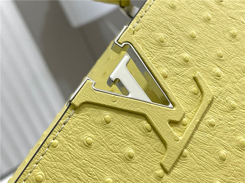 Louis Vuitton Capucines MM Ostrich leather M95393/M48865 Lemon High