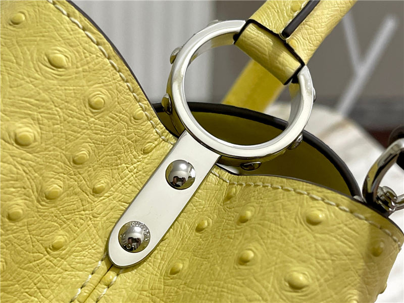 Louis Vuitton Capucines MM Ostrich leather M95393/M48865 Lemon High