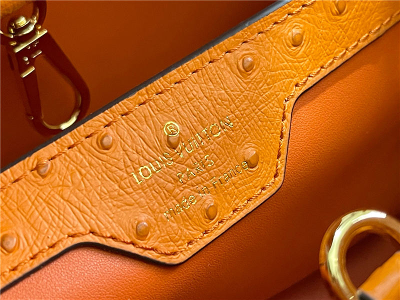 Louis Vuitton Capucines MM Ostrich leather M95393/M48865 Orange High