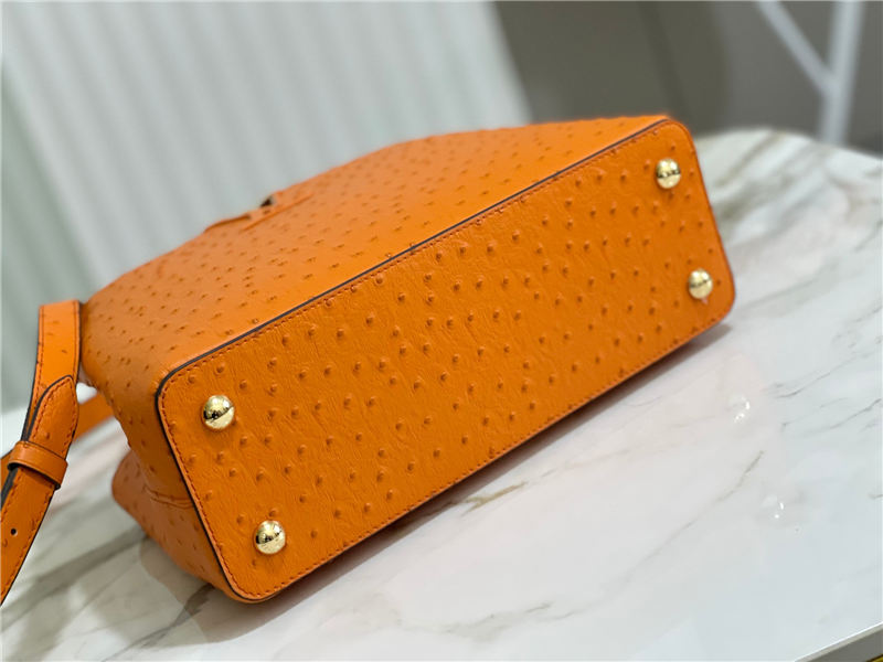 Louis Vuitton Capucines MM Ostrich leather M95393/M48865 Orange High