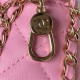 SMALL HOBO BAG AS3917 Lambskin & Shiny Light Gold Metal Pink A