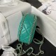 CLUTCH WITH CHAIN AP3232 Lambskin & Shiny Light Gold Metal Green A