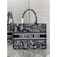 MEDIUM Dior BOOK TOTE Plan de Paris Embroidery Black/White High