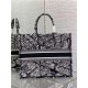 LARGE Dior BOOK TOTE Plan de Paris Embroidery Black/White High