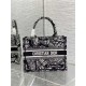 SMALL Dior BOOK TOTE Plan de Paris Embroidery Black/White High