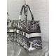 MEDIUM Dior BOOK TOTE Plan de Paris Embroidery White/Black High