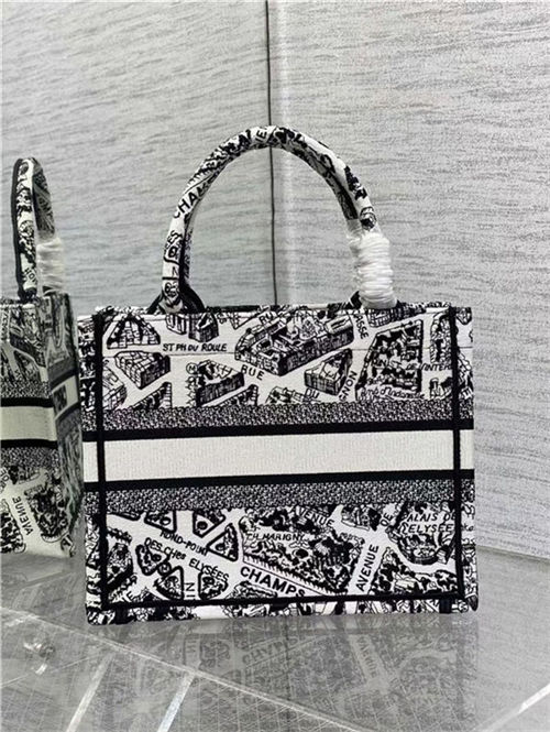 SMALL Dior BOOK TOTE Plan de Paris Embroidery White/Black High