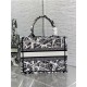 SMALL Dior BOOK TOTE Plan de Paris Embroidery White/Black High