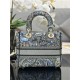 MEDIUM LADY D-LITE BAG Dior Jardin Magique Embroidery Denim High