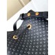 Louis Vuitton Néonoé BB Calfskin M22598 Black High