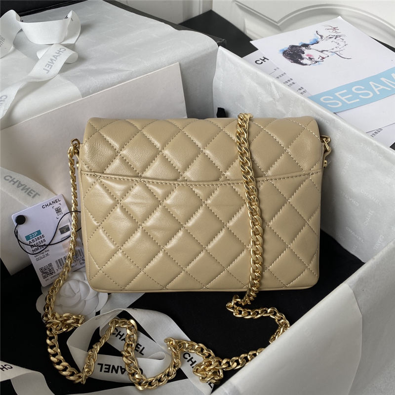 Chanel FLAP BAG Shiny Lambskin & Gold-Tone Metal AP3855 Beige A