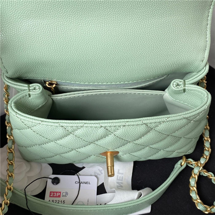 MINI FLAP BAG WITH TOP HANDLE Grained Calfskin & Gold Metal AS2215 Green A