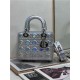 SMALL LADY Dior MY ABCDior BAG Cannage Lambskin Iridescent Metallic Silver-Tone High