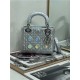 MINI LADY Dior BAG Cannage Lambskin Iridescent Metallic Silver-Tone High