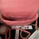 Chanel SMALL FLAP BAG Lambskin,Plexi & Gold-Tone Metal AS3986 Pink A