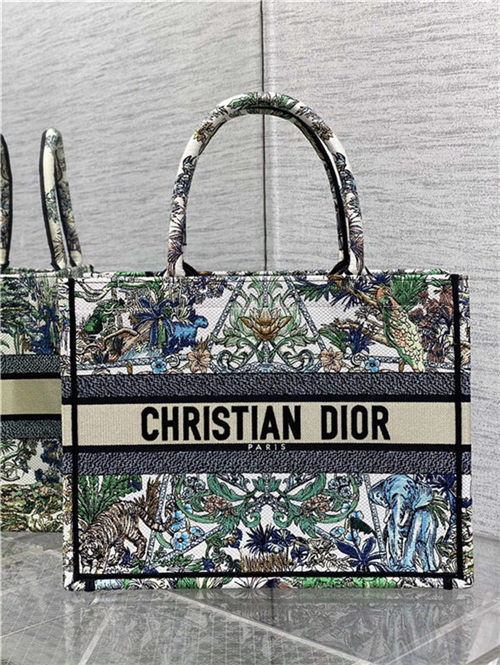 MEDIUM Dior BOOK TOTE Étoile de Voyage Embroidery High