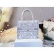 SMALL Dior BOOK TOTE Toile de Jouy Embroidery Mid