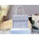 SMALL Dior BOOK TOTE Toile de Jouy Embroidery Mid