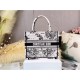 SMALL Dior BOOK TOTE Toile de Jouy Zodiac Embroidery Mid