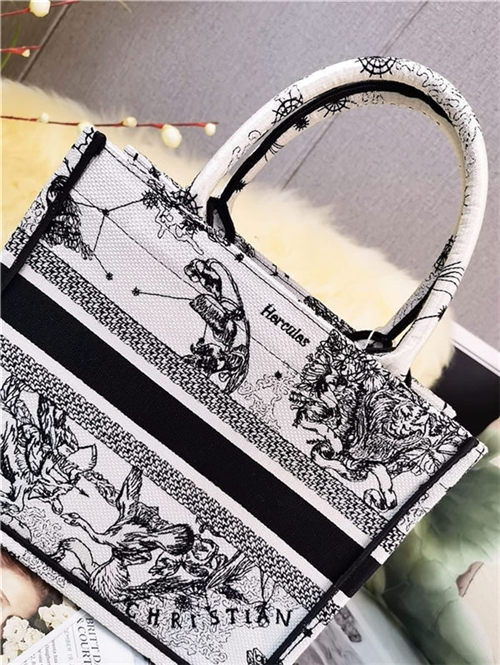 SMALL Dior BOOK TOTE Toile de Jouy Zodiac Embroidery Mid