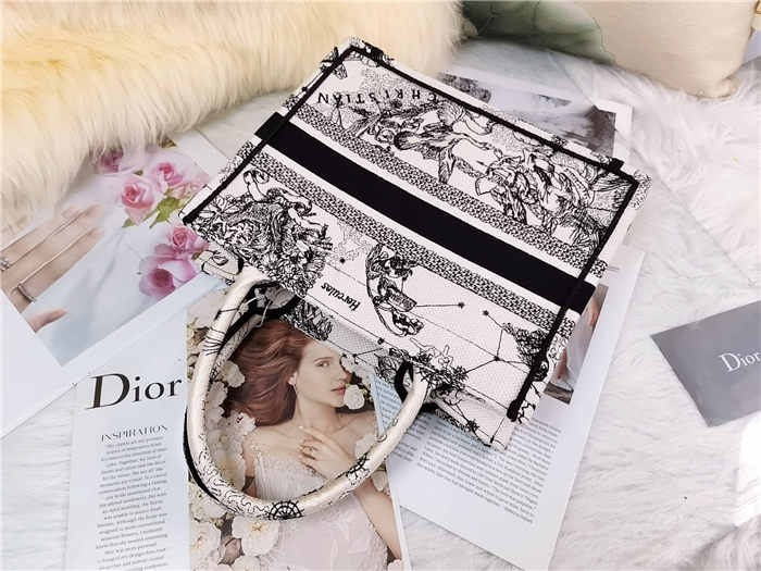 SMALL Dior BOOK TOTE Toile de Jouy Zodiac Embroidery Mid