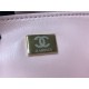 Chanel BUCKET BAG AS3176 Grained Calfskin Gold-Tone Metal Pink High