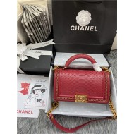 BOY Chanel FLAP BAG WITH HANDLE Python & Gold Metal High