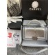 BOY Chanel FLAP BAG WITH HANDLE Python & Silver Metal High