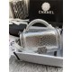 BOY Chanel FLAP BAG WITH HANDLE Python & Silver Metal High