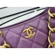 Chanel Hobo Handbag AS4912 Shiny Lambskin & Gold Metal A