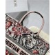 LARGE Dior BOOK TOTE La Force Embroidery Multicolor High