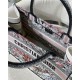 MEDIUM Dior BOOK TOTE La Force Embroidery Multicolor High