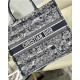 LARGE Dior BOOK TOTE Toile de Jouy Stripes Embroidery High