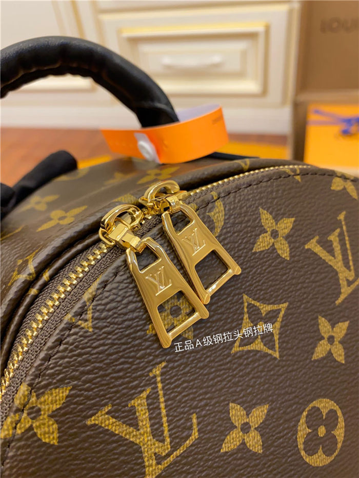 Louis Vuitton Palm Springs PM Backpack M44871 Top