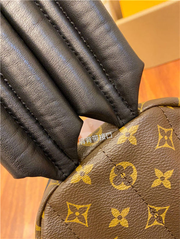 Louis Vuitton Palm Springs PM Backpack M44871 Top