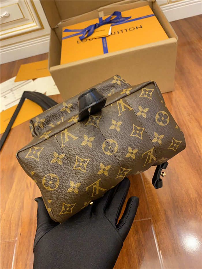 Louis Vuitton Palm Springs PM Backpack M44871 Top